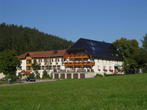 Отель Landgasthof Zum Schwanen, Хорнберг